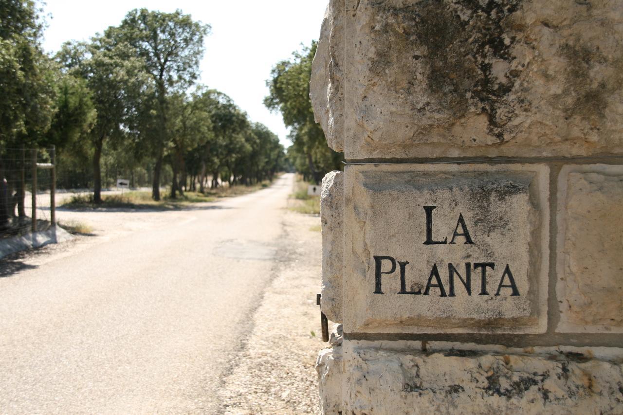La Casita De La Planta Hotel Quintanilla de Onésimo Eksteriør billede